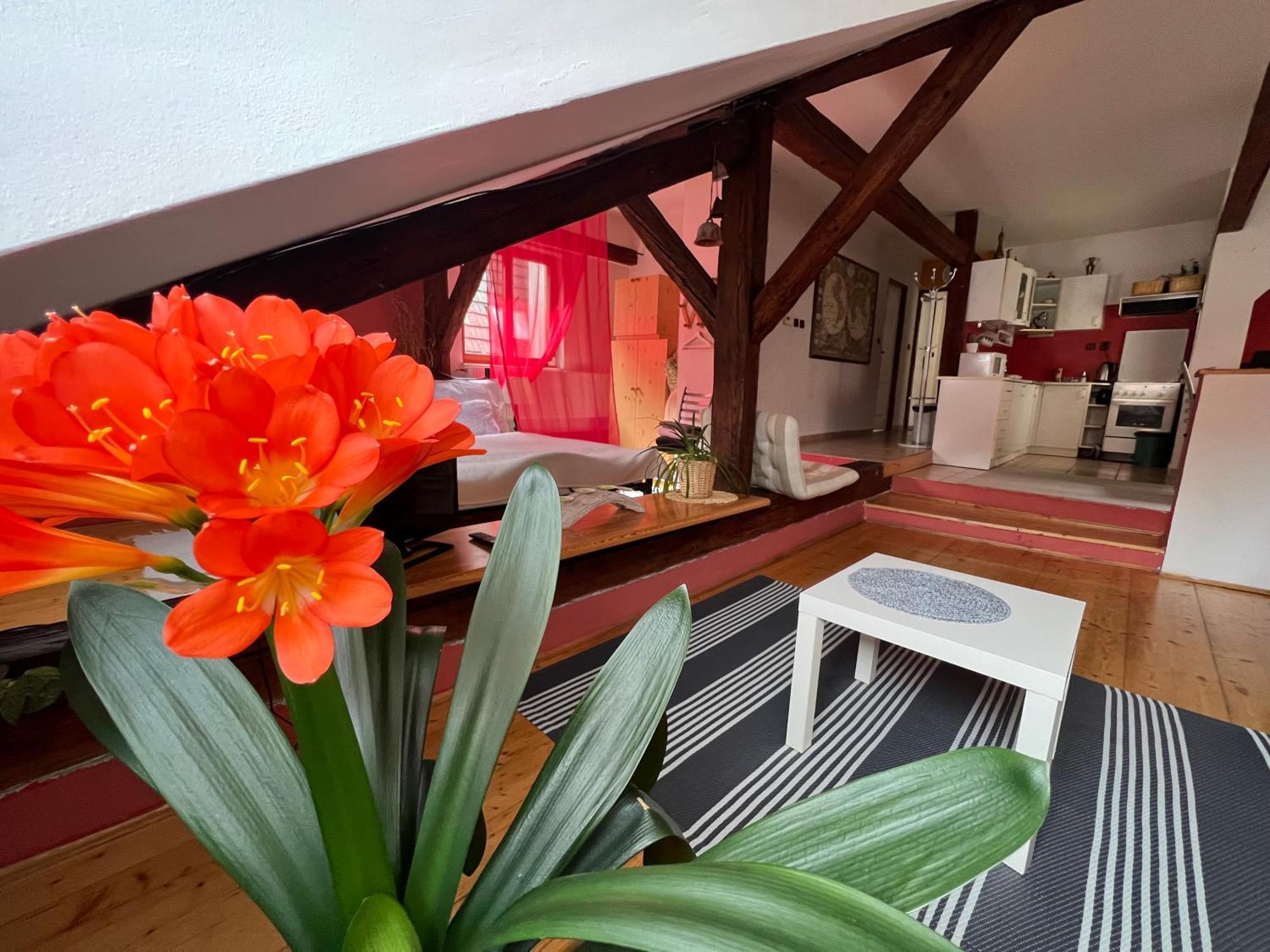 Apartman Galant Apartment Cesky Krumlov Luaran gambar